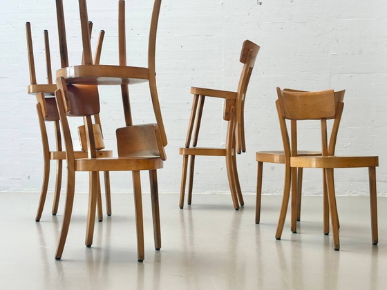 Image 1 of Set van 6 gebogen houten stoelen, gemaakt van massief hout, Thonet ZPM Radomsko, Polen, jaren 1950.