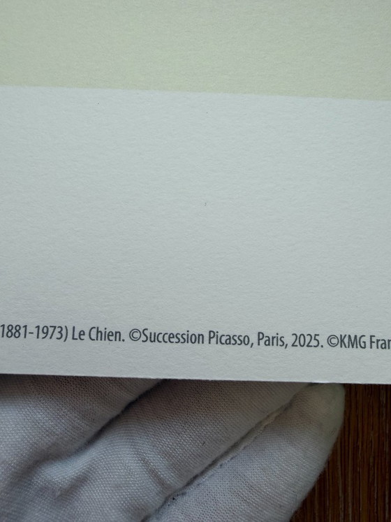 Image 1 of Pablo Picasso (1881-1973), El perro, copyright Succession Picasso, París, 2025. Impreso en el Reino Unido.