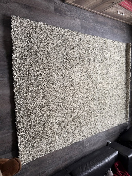 Alfombra de lana Brink and Campman verde bosque 170 x 240