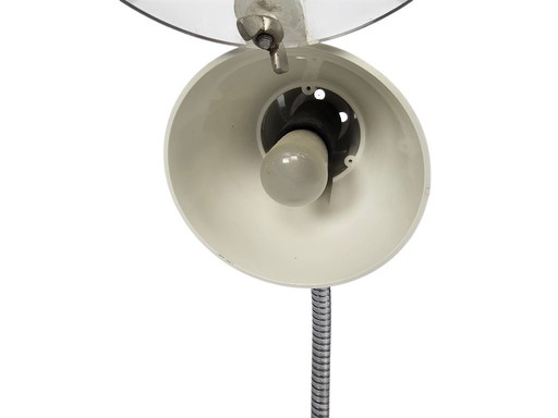 Lampada da tavolo 'Big Eye' - americana - lampada d'ingrandimento - collo flessibile - terzo quarto del XX secolo