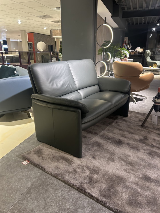 Image 1 of Leolux catalpa