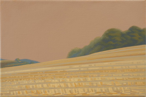 Mowed field, unique painting, hand-painted one-of-a-kind piece, 30 x 20 cm, acrylic paint on canvas