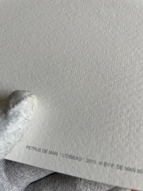 Image 1 of Petrus De Man, El pájaro 2011, copyright P. De Man 2010 Bélgica