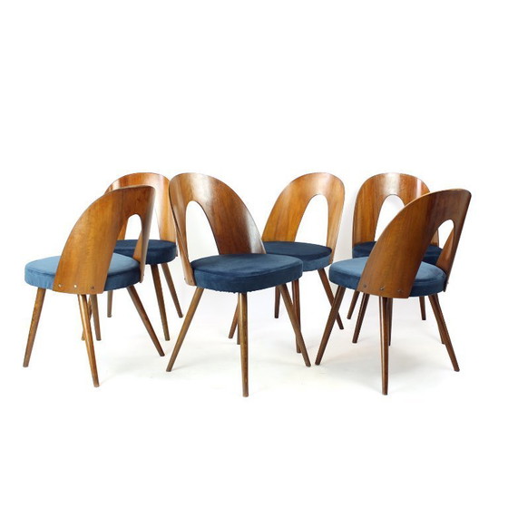 Image 1 of Set Of 6 Iconic Tatra Chairs In Walnut & Velvet By šuman, Nabytok Pravenec 1960s