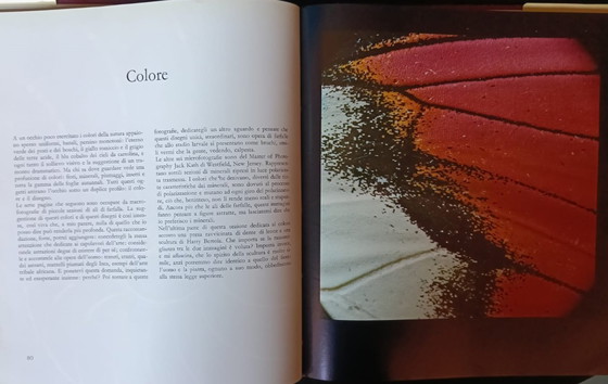 Image 1 of The Roots of Art (1975) Garzanti