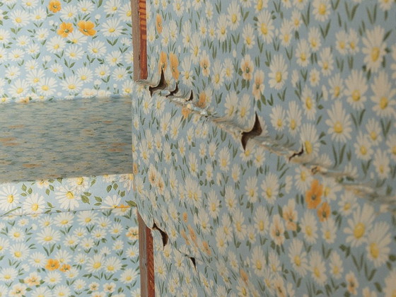 Antique hand-painted farmhouse wardrobe, 18th century, Wood, Multi Color (photo 8 of 8)