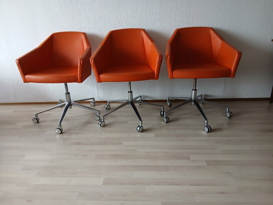 Image 1 of Fauteuils Casala Parker VI – Cuir 