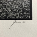 Signed photo print Ralph Janowski 38/100