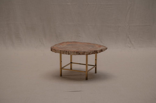 Rare petrified wood coffee table - 1970s