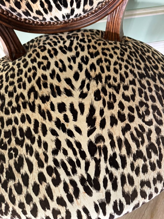 Image 1 of Trio di poltrone a medaglione Luigi XVI – Stile leopardo / Chic & Bold