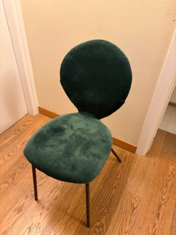 6 Riflessi "Sofia" Eetkamerstoelen - Groen Fluweel. Elegant en Iconisch Model – Textiel (photo 3 of 5)