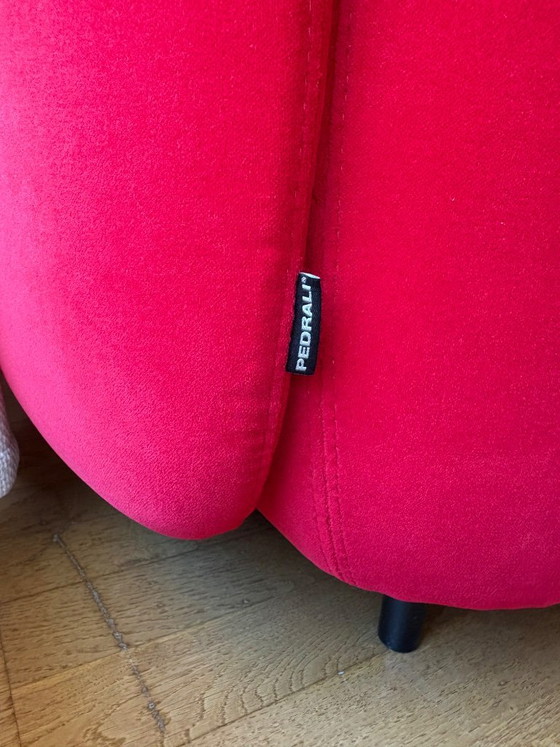 Pedrali 3-5 Sitzer Sofa - Modell Buddy (Roter Samt) – Velvet (photo 5 of 5)