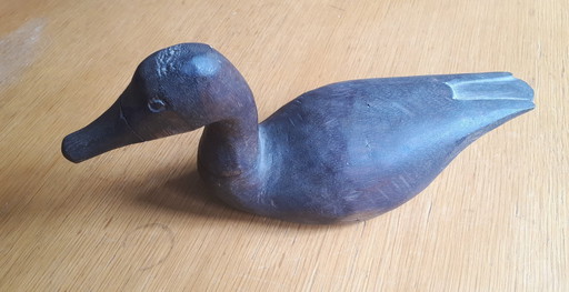 American decoy ducks