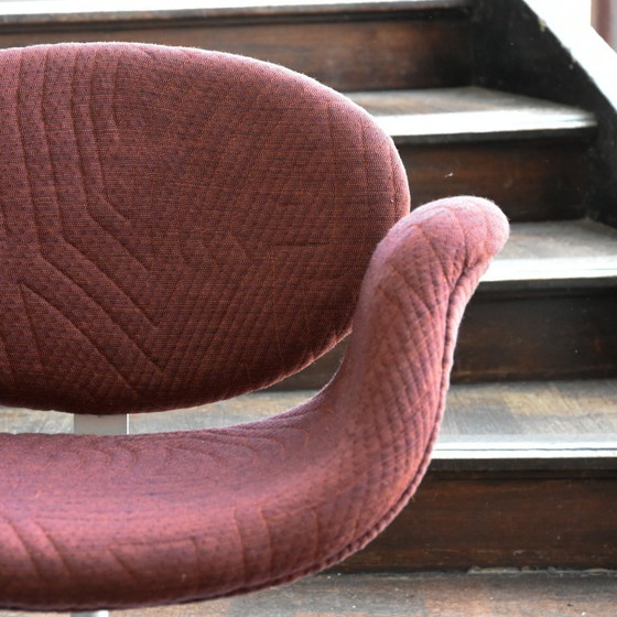 Image 1 of 6 Artifort Little Tulip chairs