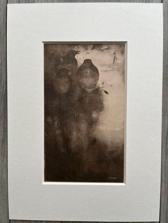 Image 1 of Jan Mankes 1889-1920 / Original Heliogravüre Drosseln in der Abenddämmerung 1923