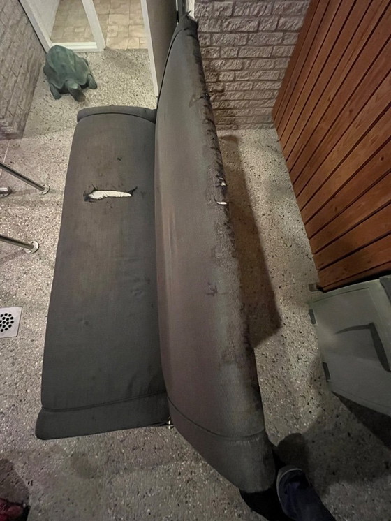 Image 1 of Vintage 'D70' sofa by Osvaldo Borsani for Tecno