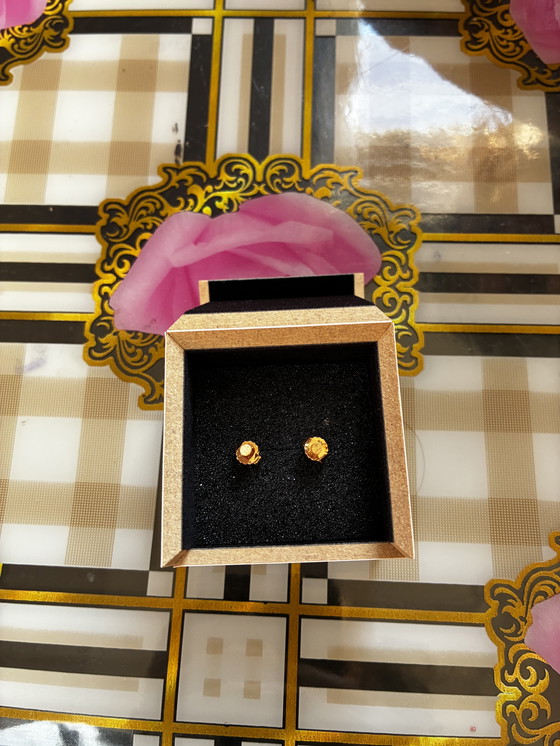 Image 1 of VanRycke Oorbellen