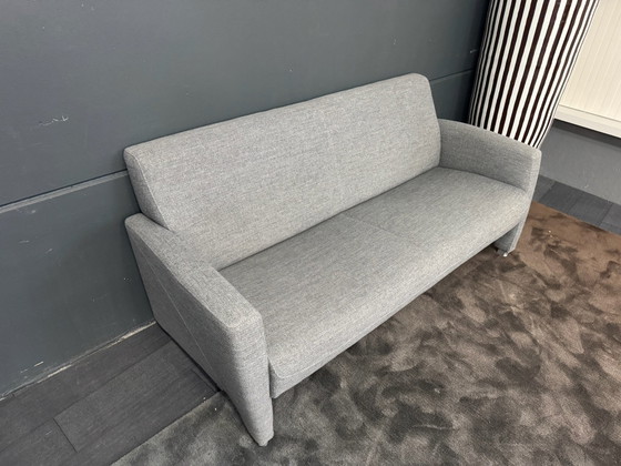 Neat Montel 2.5-seater sofa | Montel sofa, 3-5 seaters, Cotton, Grey (photo 6 of 8)