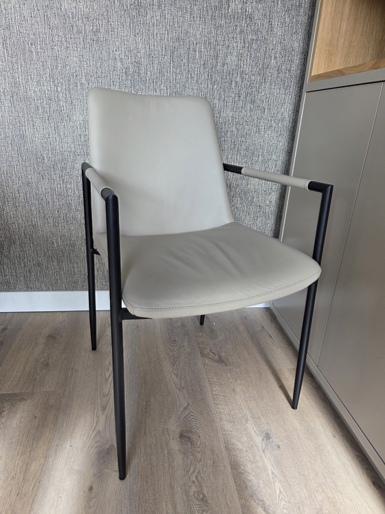 Vier Eetkamerstoelen Movani – Leather, Metal (photo 4 of 6)