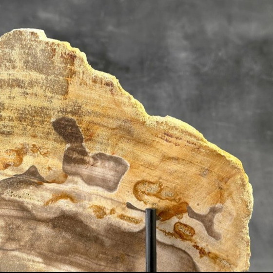 Image 1 of Madera fosilizada de Sooka, estándar a medida (nuevo)
