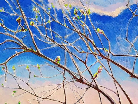 Original Oil Painting Landscape Nature Spring – Paintings & Drawings, Canvas (photo 2 of 5)