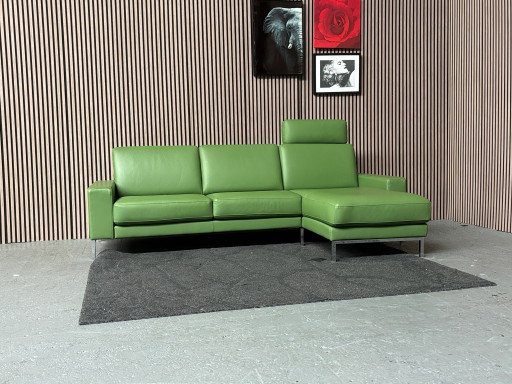 Rolf Benz Ego Canapé Lounge Cuir Vert 255x160 NETTOYÉ