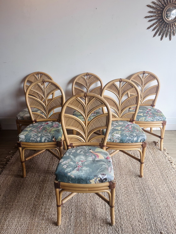 Image 1 of 6 Palm Leaf Rattan chairs Vivai del Sud