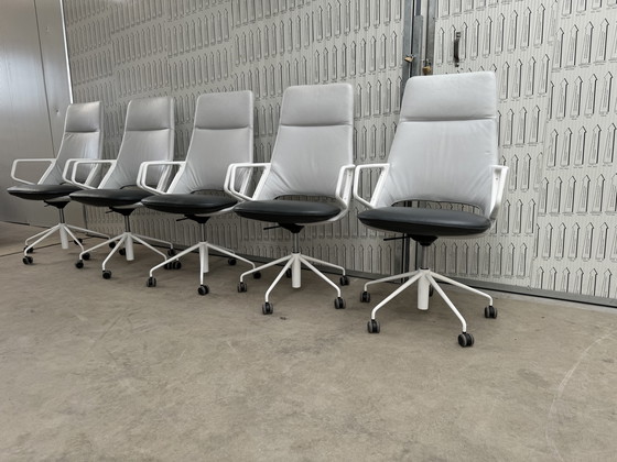 Image 1 of 6x Artifort Zuma Design Patrick Norguet