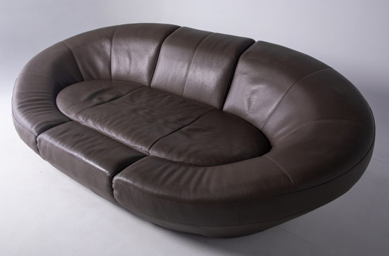 Cocoon Lounge Zetel – Banken, Leather (photo 5 of 9)