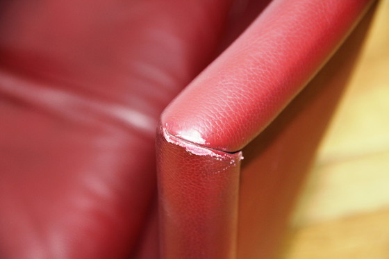 Image 1 of Club Vivette fauteuil, Luca Meda, 1980