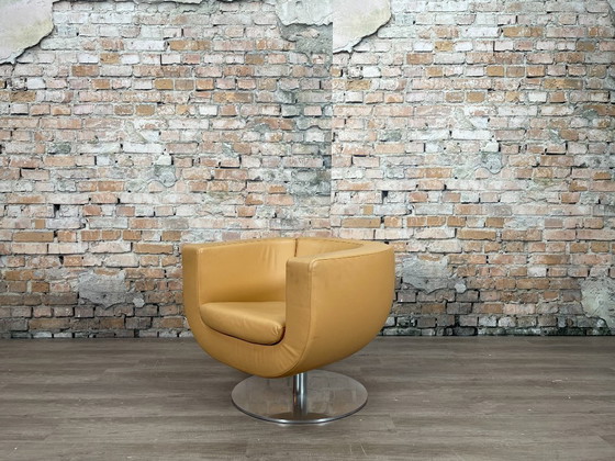 Image 1 of B&amp;B Italia Tulip Sessel Kamel