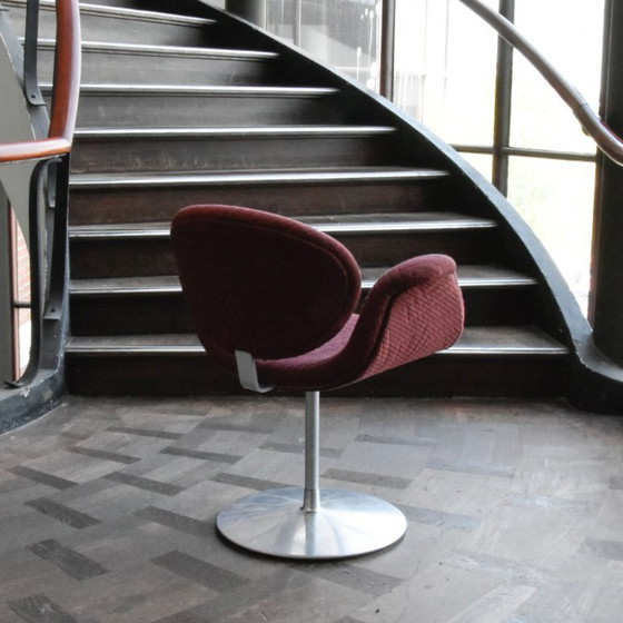Image 1 of 6 Artifort Little Tulip chairs