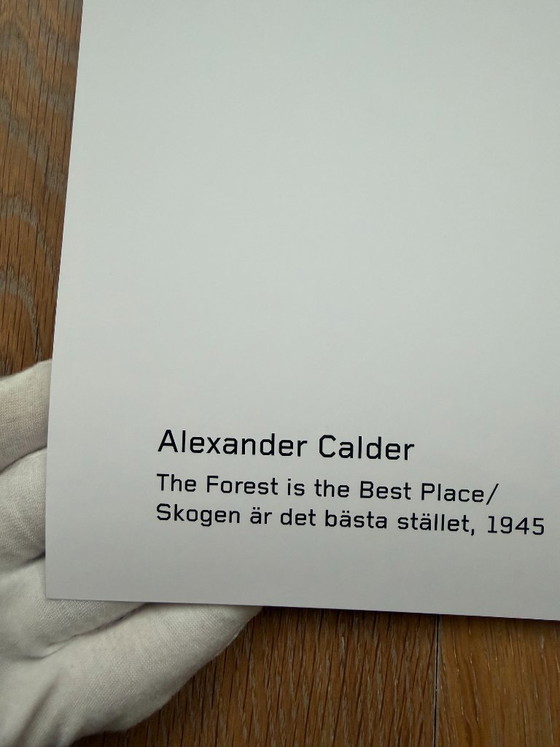 Alexander Calder (1898-1976), Skogen är det bästa stället, 1945, Copyright Calder Foundation, New York/ARS, (photo 3 of 10)