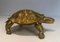 Messing schildpadsculptuur – Beeldhouwkunst, Brass (photo 9 of 9)