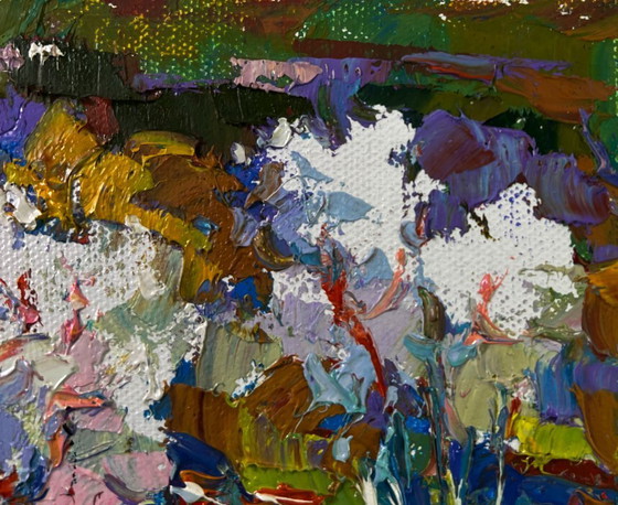 Image 1 of Original Oil Painting Colorful Nature Landscape Nature in the colors of the spring