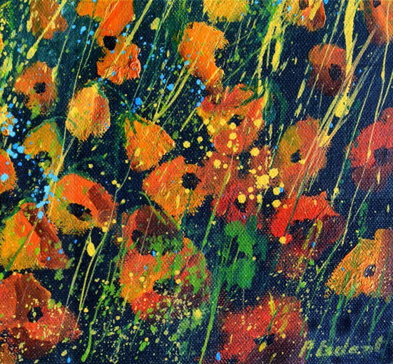 Image 1 of Poppies