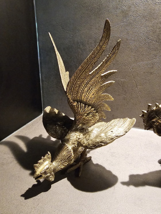 Image 1 of 2 Franse MCM vechthanen