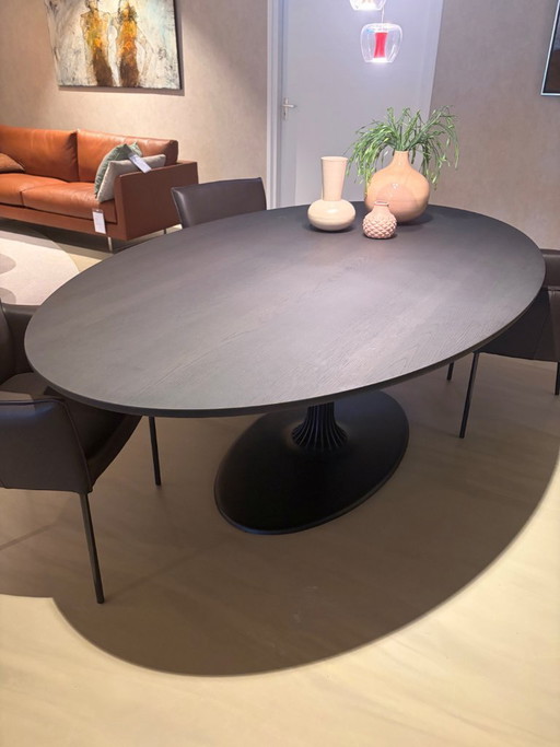 Arco Joist Ellipse dining table