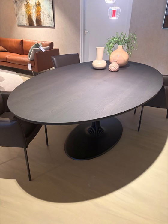 Image 1 of Arco Joist Ellipse dining table