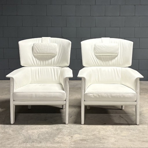 Set di poltrone vintage in pelle – De Sede DS-168 – fauteuils, Leather