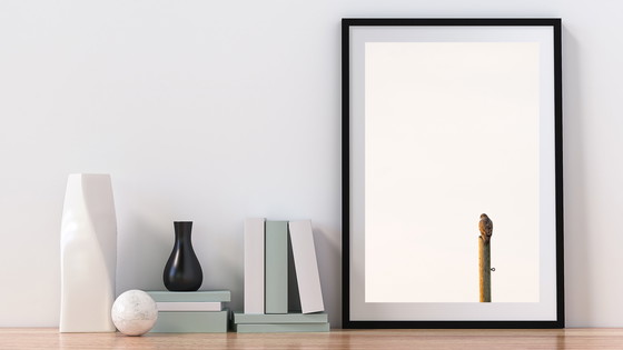 Image 1 of Varias fotografías / A todo color / Impresión profesional