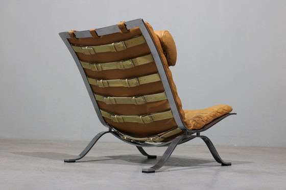 Image 1 of Armchair Model "Ari" by Arne Norell for Arne Norell AB
