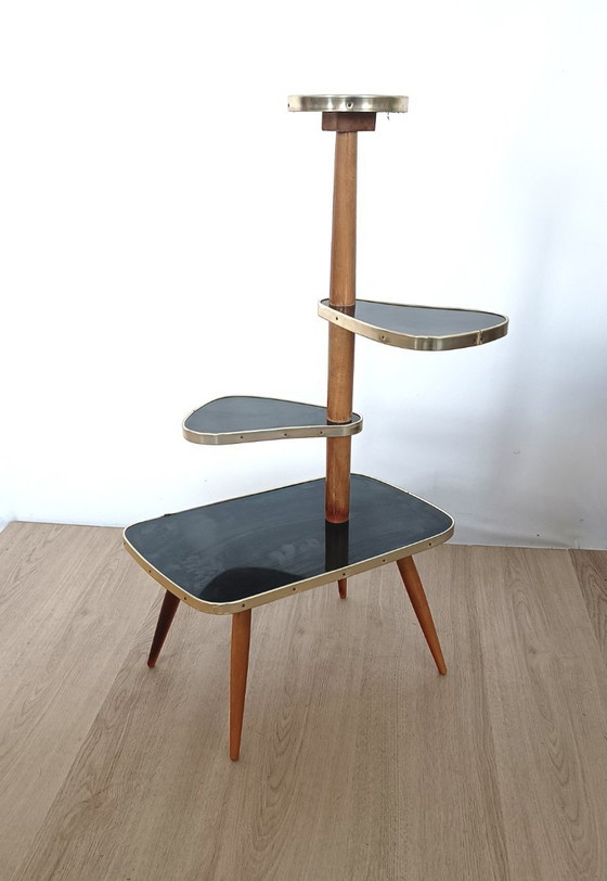 Image 1 of Fünfziger Jahre Pflanzentisch in Schwarz