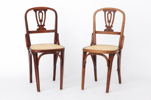 Set of 2 Vintage Bentwood Dining Chairs | Austria 1930s–50s | Beechwood, New Woven Cane Seats