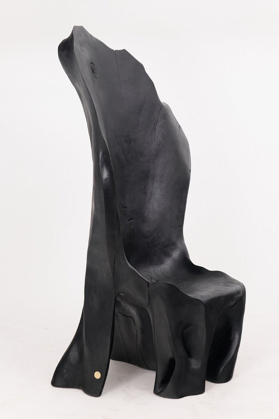 Image 1 of Fauteuil trône en bois noir carbonisé aux formes organiques par Logniture