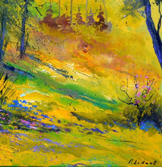 Image 1 of Light in the wood