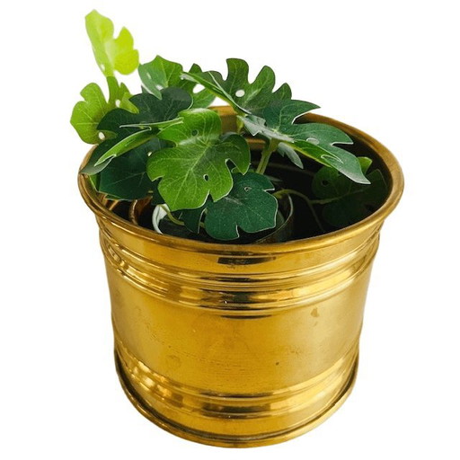 Vintage-Blumentopf aus Messing und Gold, 1950er Jahre