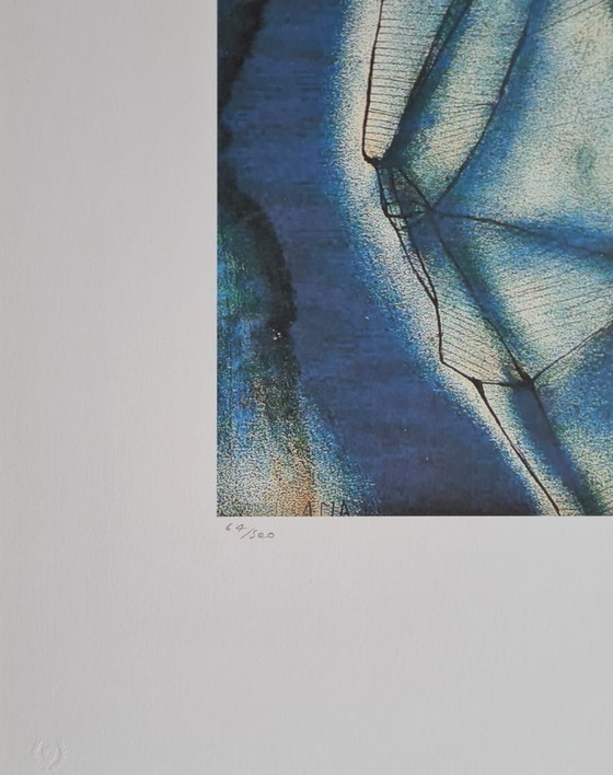 Image 1 of After Yayoi Kusama, Untitled, Lithograph, 1990s