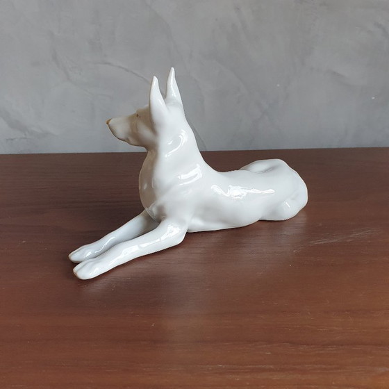 Image 1 of Cane da pastore in porcellana vintage di Hollohaza dall'Ungheria, anni '60
