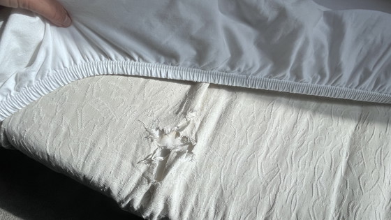 Italienische Luxus-Sofas (2,5-Sitzer) – Più Mo / Minardi Daunen – Top Substanz! – Più Mo / MinardiPiume (photo 8 of 8)